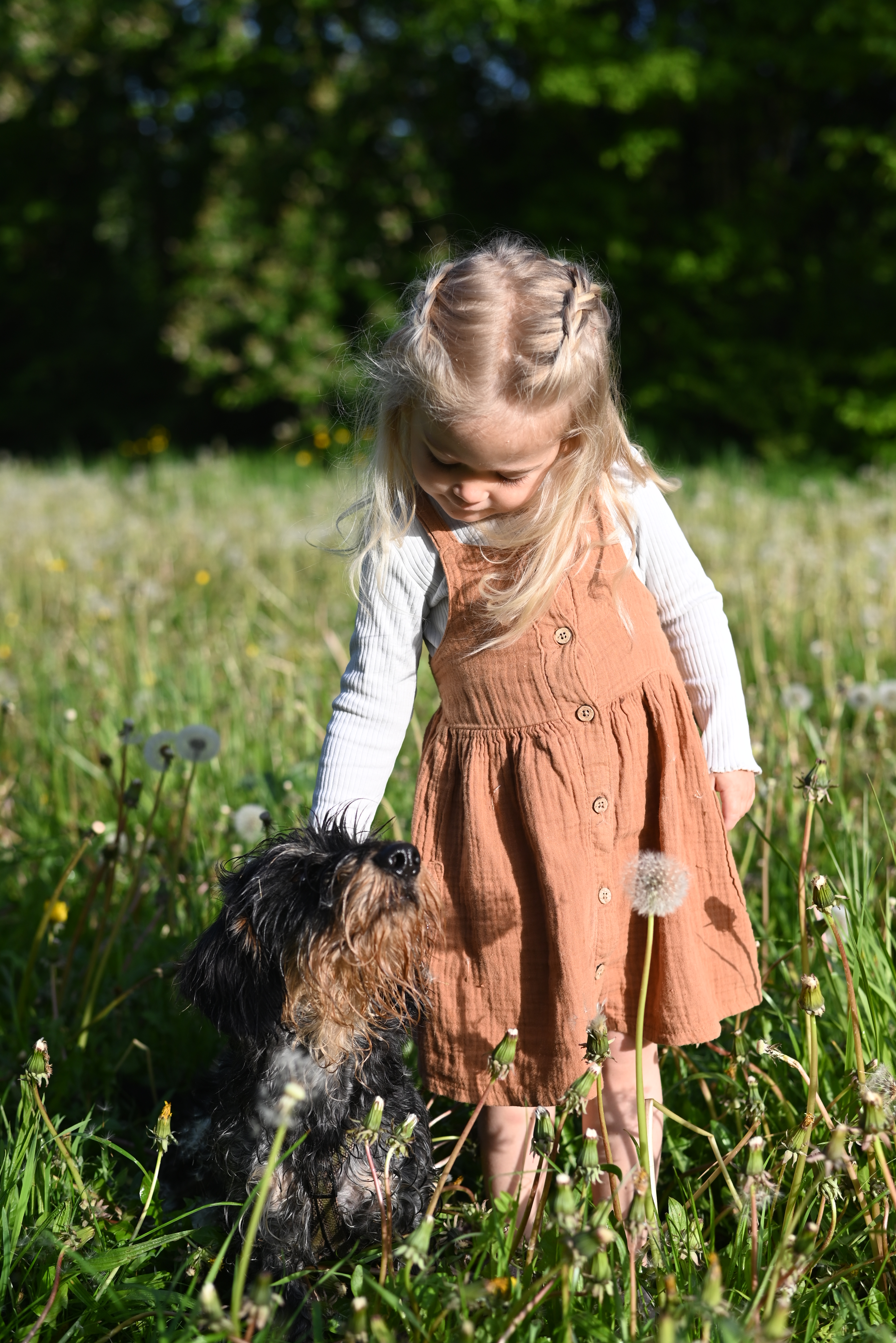 Familie, Familienfotografie, Mädchen in Pusteblumen, Hund