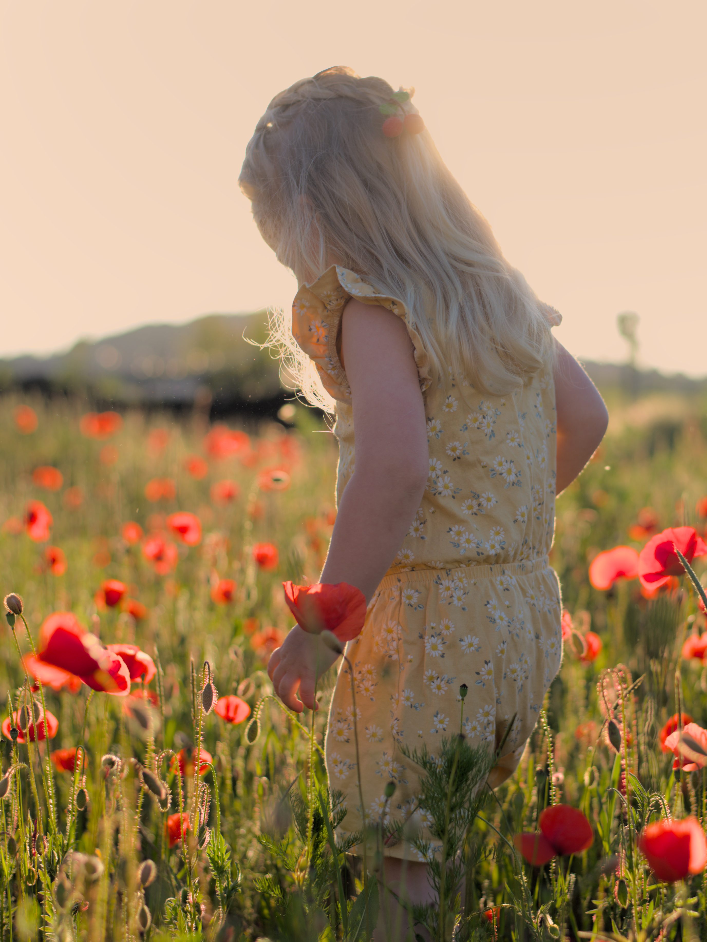 Familie, Familienfotografie, Mädchen im Mohn, Neugier